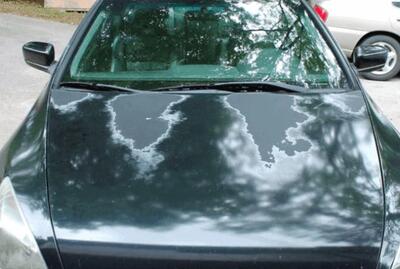  چگونه از سوختن رنگ خودرو جلوگیری کنیم؟