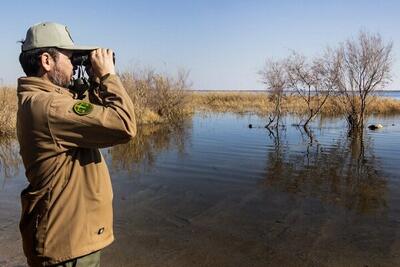  اکران طرح «روز محیط‌بان» در پایتخت + تصویر - اکونیوز