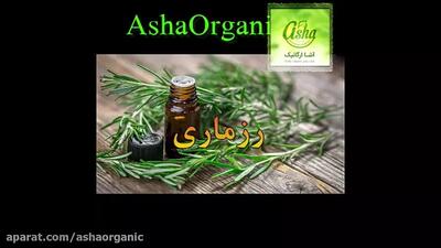  خواص بی‌نظیر گیاه رزماری؛ معجزه‌ای برای سلامتی و زیبایی