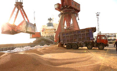  بحران نهاده‌های دامی؛ از نبود مدیریت ارزی تا ناکارآمدی سامانه‌های وزارت جهاد