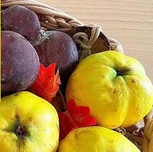  طرز تهیه مربای به و لبو با طعمی خاص و متفاوت !