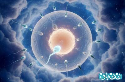  میزان دخول برای بارداری چقدر باید باشد؟ ۶ اقدام قبل از دخول