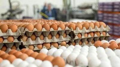  سیل گرانی به تخم مرغ رسید / تخم مرغ به شانه‌ای 300 هزار تومان رسید - سلام نو