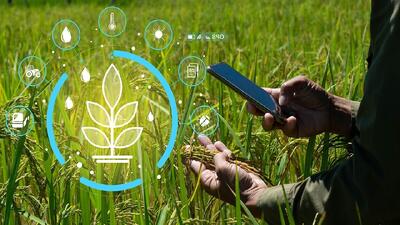  استفاده از هوش مصنوعی در تحقیقات گیاه‌پزشکی ضروری است