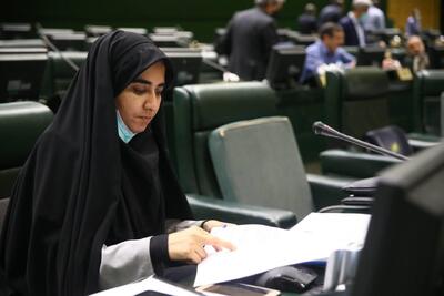  نطق اعتراضی نماینده ایلام؛ تجمع آرام در اعتراض به وضع معیشتی را خط نفوذ به آشوب کشاند/ اجازه نمی‌دهیم جوانان به مسلخ بی‌تدبیری مسئولین بی‌کفایت بروند