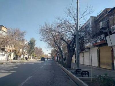  وضعیت امروز بازار شیراز به روایت ایسنا