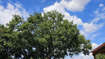  فال ابجد روزانه 9 بهمن