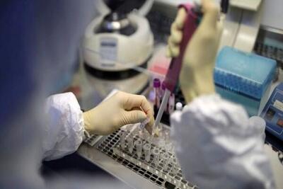  مثلث طلایی شکست سرطان