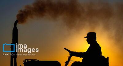  تصاویر صید ماهی در خزر | جهان نیوز