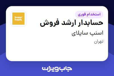  استخدام حسابدار ارشد فروش در اسنپ ساپلای