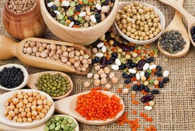  ۴ ماده جادویی تقویت مغز: بلوبری، گردو، ماهی سالمون و سبزیجات برگ‌دار / راز کارایی بالای ذهن: آووکادو، روغن نارگیل، تخمه کدو و کلم بروکلی در صدر لیست!