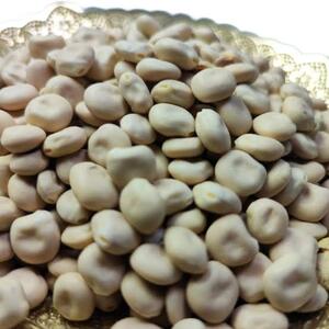  چند نسخه‌ی کاربردی ساده با باقالی مصری