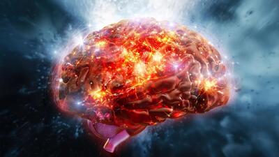  دانشمندان طعم‌ «تلخ و گس» را عاملی برای بیداری مغز معرفی کردند