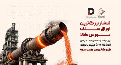  گروه آبان، رهبر کنسرسیوم این تأمین مالی