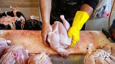  شوک بزرگ قیمتی در بازار مرغ / قیمت مرغ ۱۵۰ هزار تومان شد - مجله اینترنتی کولاک