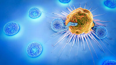  اجرای برنامه‌های غربالگری سرطان در شهرستان خاتم گسترش می‌یابد