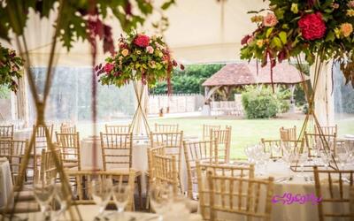  اشتباهات رایج هنگام انتخاب باغ تالار برای عروسی در تهران - سلام نو