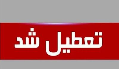  کرمان تعطیل شد