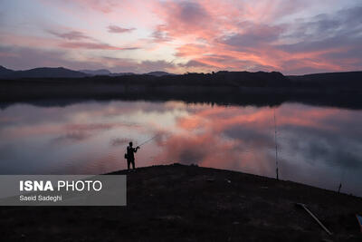  نهند تشنه است...