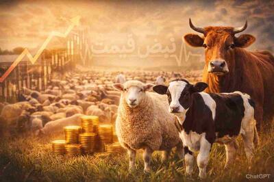  آینده روشن؛ پیش بینی قیمت دام زنده در سال ۱۴۰۴ چرا خوش‌بینانه است؟ | تحلیل پیش بینی قیمت دام زنده امروز چهارشنبه ۲۹ بهمن ۱۴۰۴