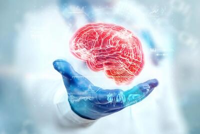  بازگشت به جوانی با رژیم غذایی؛ کشف «سطل زباله هوشمند» در مغز انسان