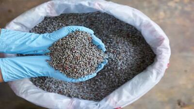  تداوم توزیع  نهاده‌های کشاورزی بین چایکاران شمال