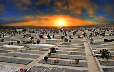  روایتی از چهل روز بعد از فاجعه/ دنیا در بهشت زهرا تمام می‌شود