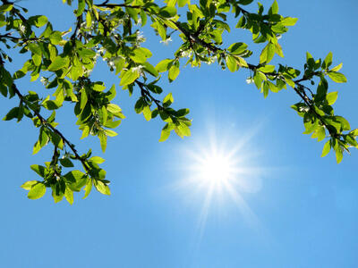  گرمای کم‌سابقه در سردترین استان کشور