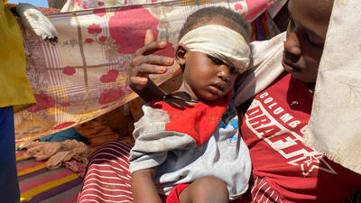  کمیته حقیقت‌یاب سازمان ملل: نشانه‌هایی از نسل‌کشی در سودان رویت شده است