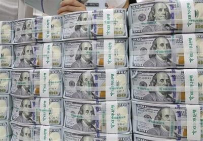  لزوم مدیریت نرخ ارز برای جلوگیری از کوچک شدن سفره مردم