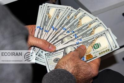  قیمت دلار امروز شنبه 2اسفند/ افزایش قیمت + جدول
