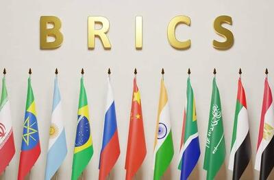  بریکس به‌دنبال ایجاد سپر مشترک امنیت سایبری - اکونیوز