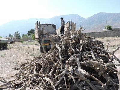  کشف ۴۱۵ کیلوگرم چوب تاغ در سرخه؛ ۲ متهم دستگیر شدند