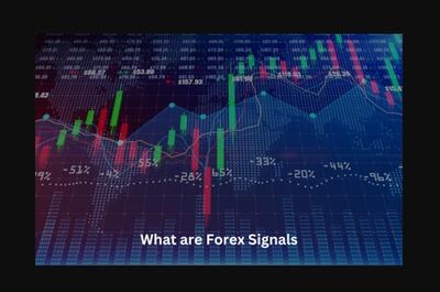  سیگنال فارکس رایگان یا پولی؟ کدام انتخاب بهتری است؟