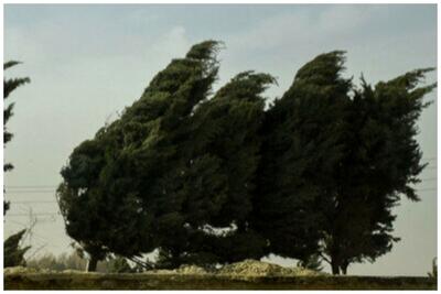  وزش باد شدید در تهران/ کاهش دما تا ۶ درجه