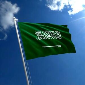  محکومیت اظهارات سفیر آمریکا در اراضی اشغالی از سوی عربستان