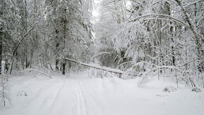  وضعیت هوای فردا اردبیل دوشنبه ۴ اسفند ۱۴۰۴ | پیش بینی آب و هوای اردبیل در ۲۴ ساعت آینده + هواشناسی اردبیل