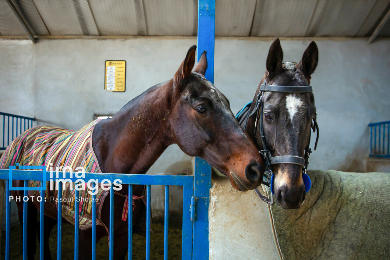 اختتامیه لیگ ملی چوگان